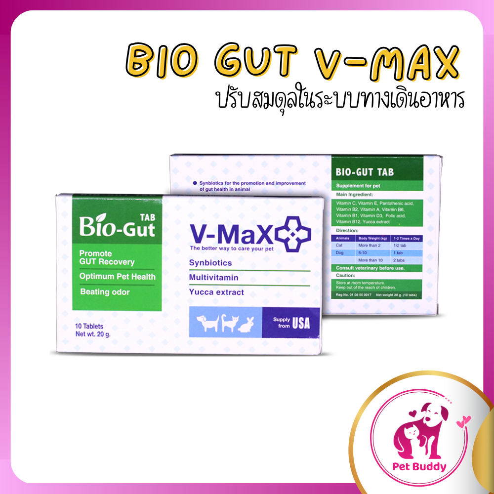 V-max Bio Gut อาหารเสริมช่วยระบบทางเดินอาหาร ช่วยแก้ปัญหาท้องเสีย บรรจุ 10 เม็ด V max biogut