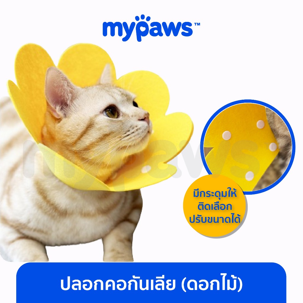 [ MYP18NV]My Paws ปลอกคอกันเลีย ดอกไม้ (C) คอลล่าร์ ป้องกันไม่ให้เลียตัวเอง สำหรับสุนัขและแมว collar
