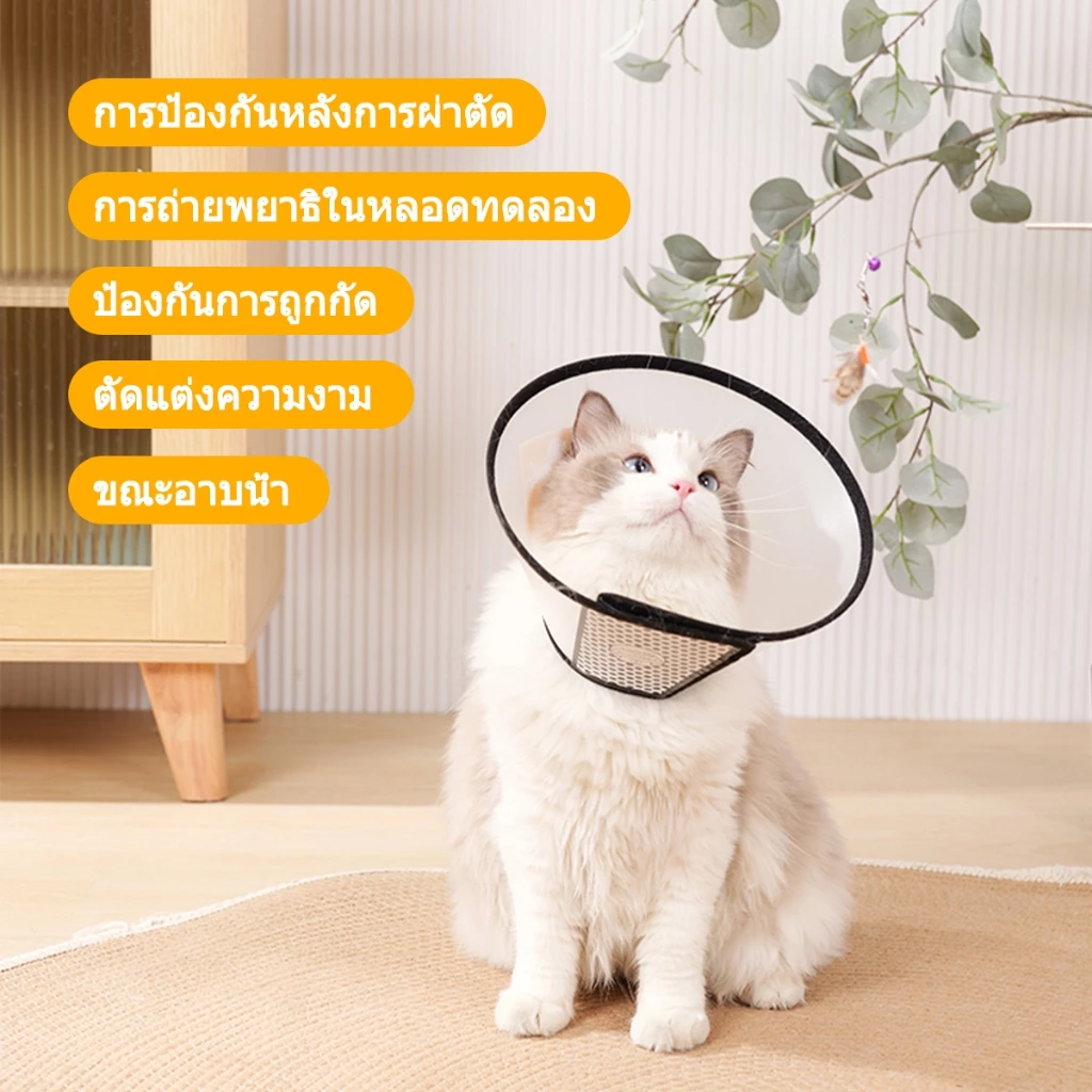 ปลอกคอกันเลียแมว แบบลำโพง นุ่มสบาย ระบายอากาศ ทุกขนาด thumbnail 5