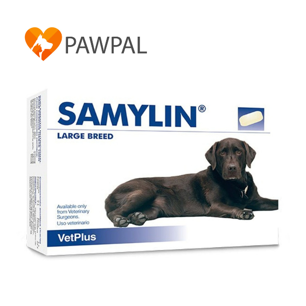 Samylin large breed Exp.4/2026 ของแท้ฉลากไทย อาหารเสริม บำรุงตับ สุนัข พันธุ์ใหญ่