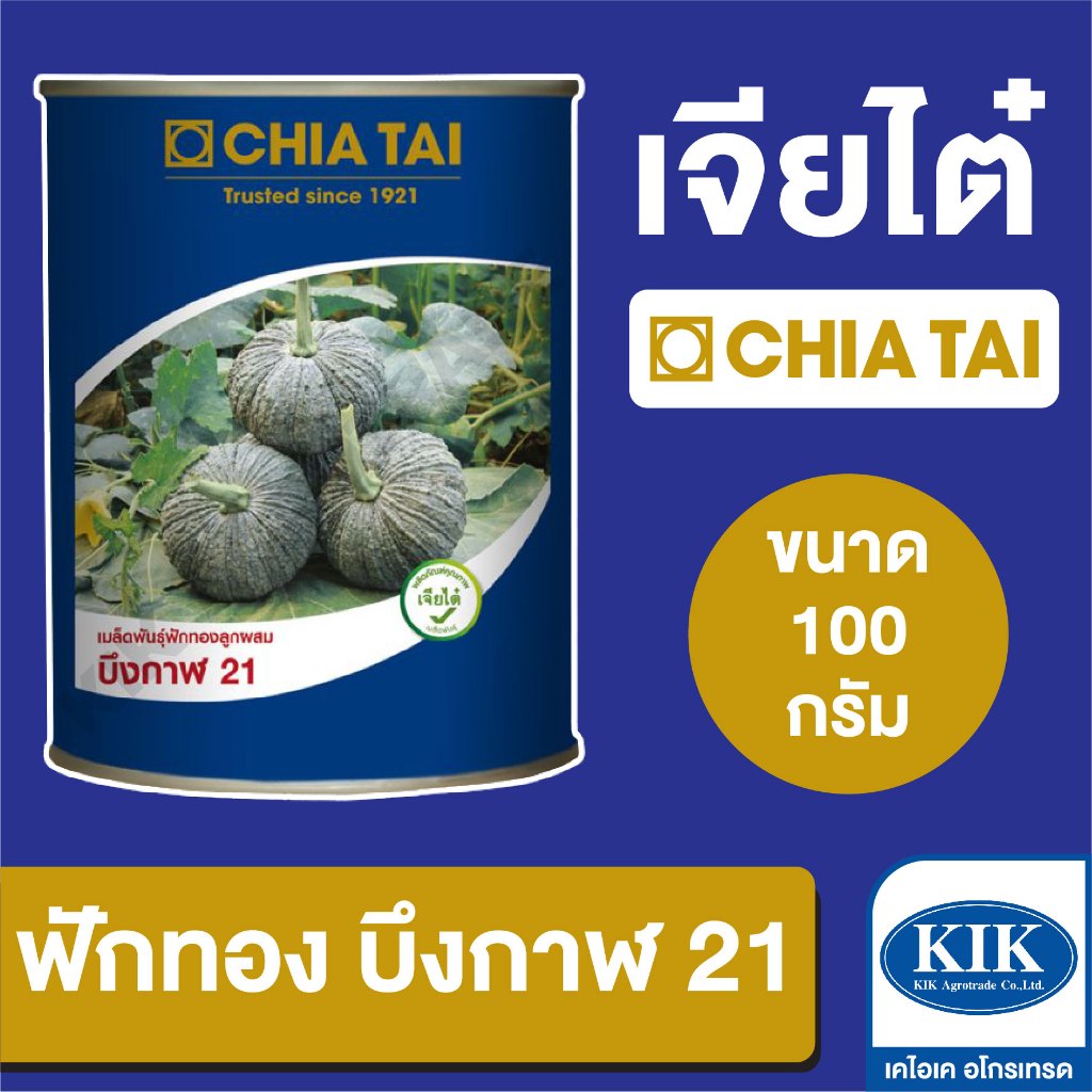 เมล็ดพันธุ์ เจียไต๋ BIG ฟักทอง บึงกาฬ CBS ขนาด 100 กรัม