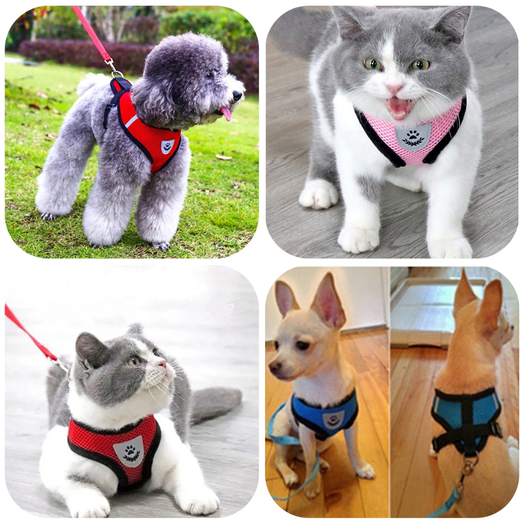 รูปภาพ 8