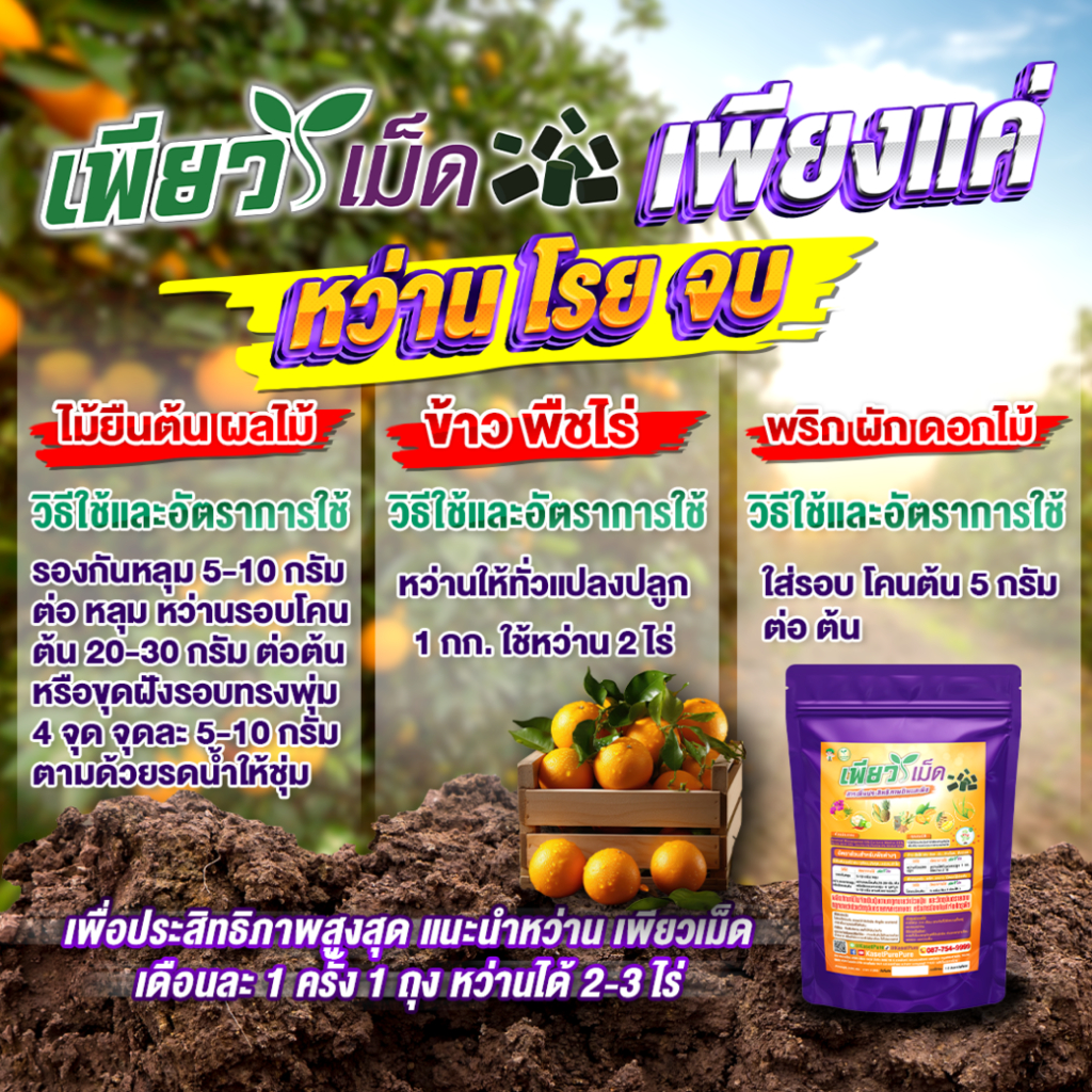 เพียวเม็ด 1 แถม 1 แก้เชื้อรา รักษาพืชป่วย ต้นโทรม ใบร่วง ดอกร่วง ผลร่วง-เน่า ใบจุด ราน้ำค้าง ราสนิม ราคา ถูกที่สุด ดีลบีเคเค แกลเลอรีภาพที่ 8