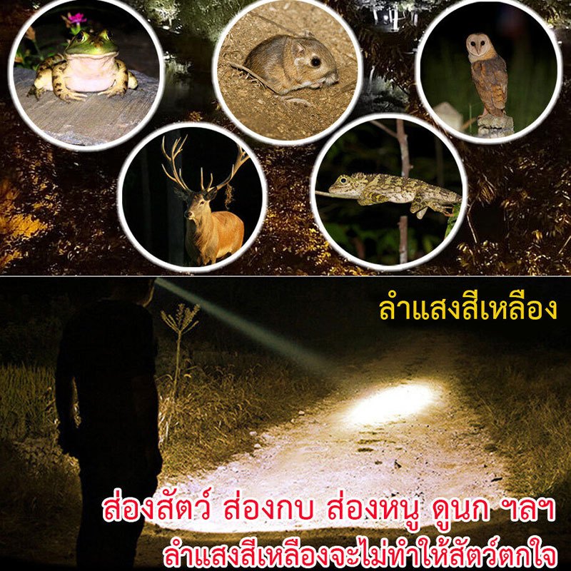 ไส้ตะเกียงเลเซอร์ ไฟฉายคาดหัวแท้LEDไฟฉาย ซูมได้ไฟคาดหัวแรงสูงกันน้ำไฟส่องกบ ไฟฉายแรงสูง ไฟสายคาดหัว ไฟฉายแบบชาร์จ - รูปที่ 2