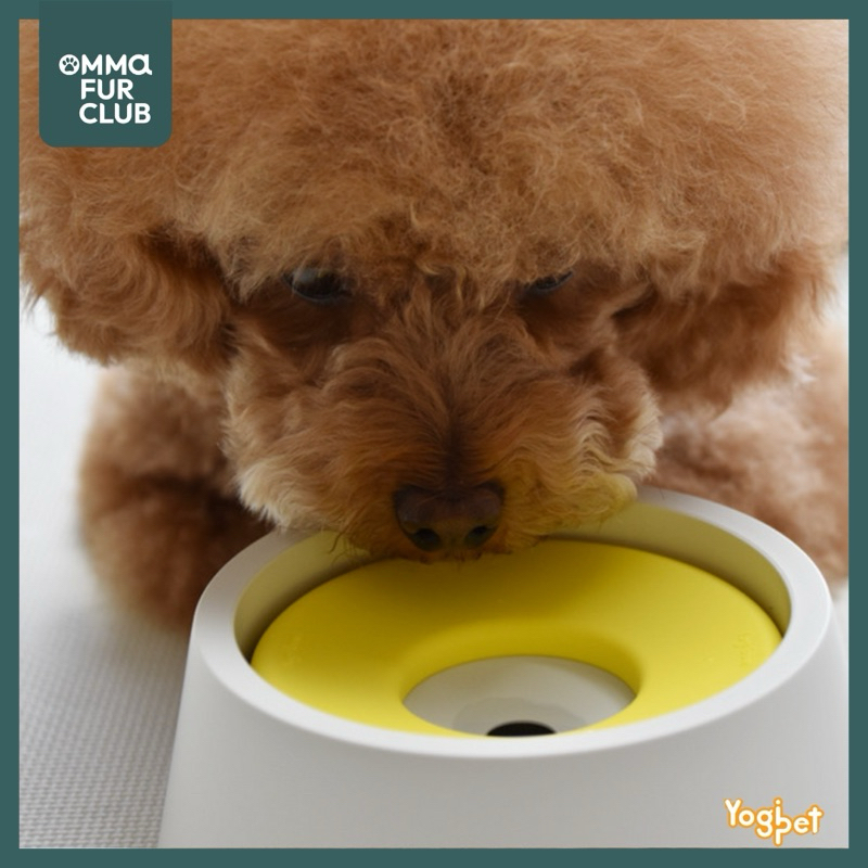 [พร้อมส่งในไทย] ชามน้ำสัตว์เลี้ยง ไม่ทำให้หน้าเปียกเลอะ Water Floating Bowl 300mL by OFC🐾 นำเข้าจากเกาหลี🇰🇷 - รูปที่ 6