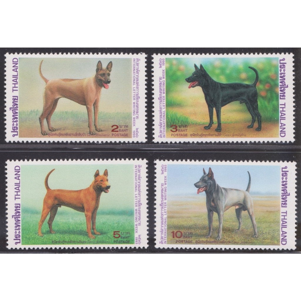 2536 แสตมป์ชุดสัปดาห์สากลแห่งการเขียนจดหมาย 2536 ครบชุด ยังไม่ใช้