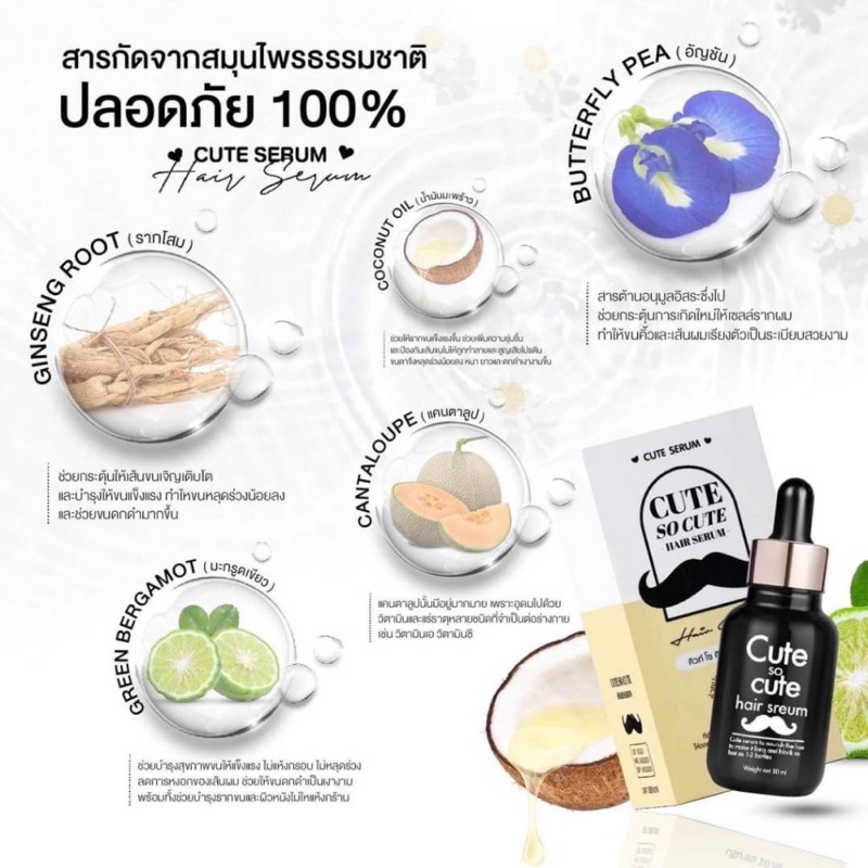 รูปภาพ 2