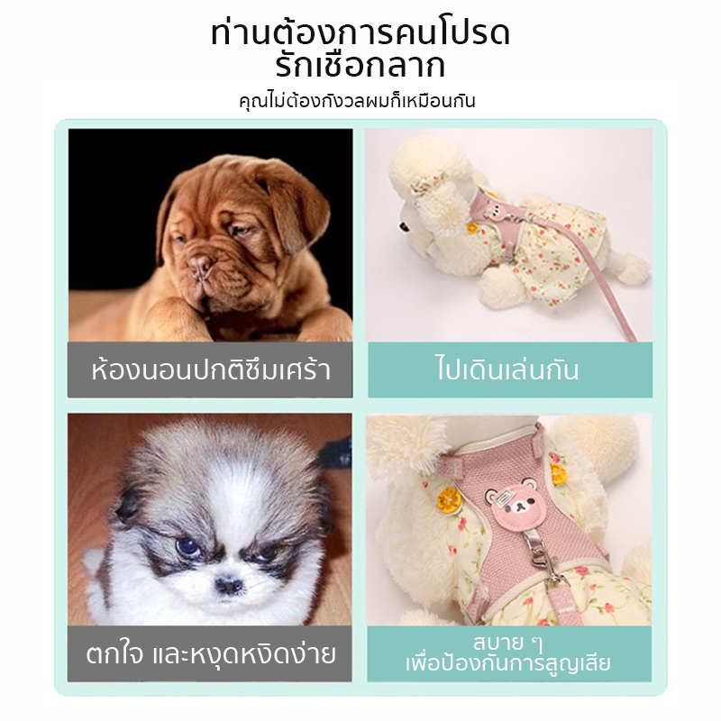 ✨ สายจูงสัตว์เลี้ยง สายจูงแมวรัดอก จูงหมา สําหรับสัตว์เลี้ยง เสื้อรัดอกหมา สุนัข สายจูงแมว สายจูงสัตว์เลี้ยง สายรัดอก