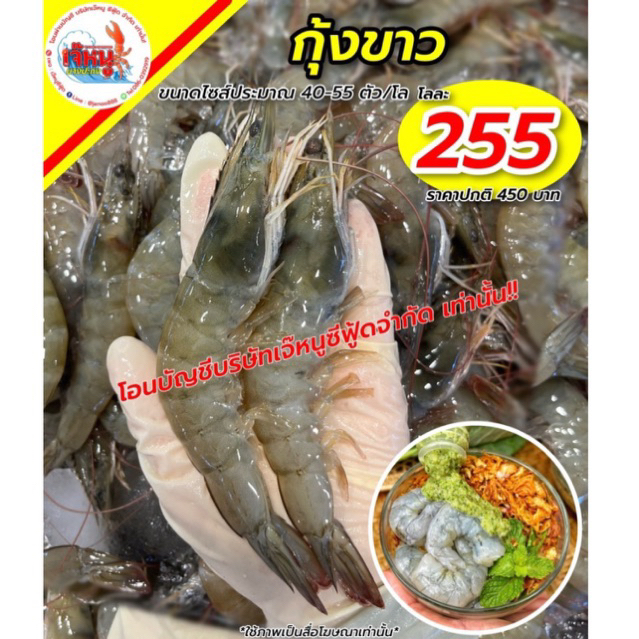 กุ้งขาว ไซส์ประมาณ40-55ตัวโล