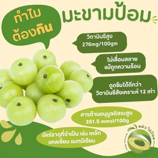 [1 ขวด] น้ำมะขามป้อม 100% - หมิวไร่ป้อม 330 ml ไม่แต่งสี ไม่แต่งกลิ่น ไม่ผสมอย่างอื่น ไม่เจือจางด้วยน้ำ มะขามป้อมล้วนๆ