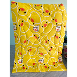 ผ้าห่มนวม ขนาด 5ฟุต,6ฟุต เกรดพรีเมียม สีไม่ตก ใยไม่กอง ผ้า cotton แท้ พร้อมส่ง