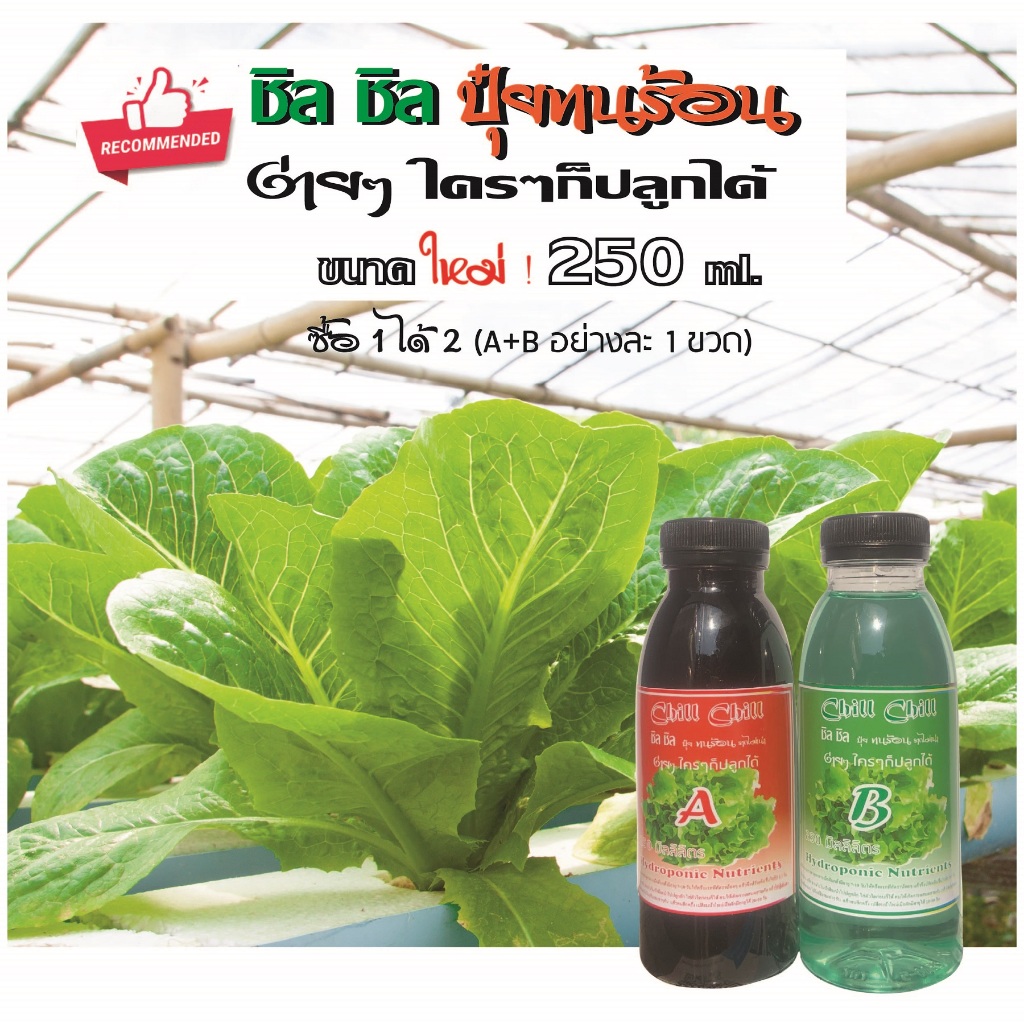 ชิล ชิล ปุ๋ยทนร้อน ปุ๋ย AB ไฮโดรฯ ขนาดใหม่ 250ml.A1ขวดB1ขวด