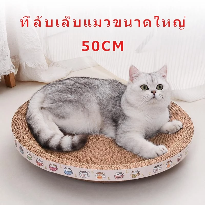 🐾ที่ลับเล็บแมว รูปอ่าง ที่ฝนเล็บแมว ของเล่นแมว เป็นที่นอนแมวไปในตัว ฟรี แคปนิท ที่ขูดเล็บ ของเล่นแมว คอนโดแมว