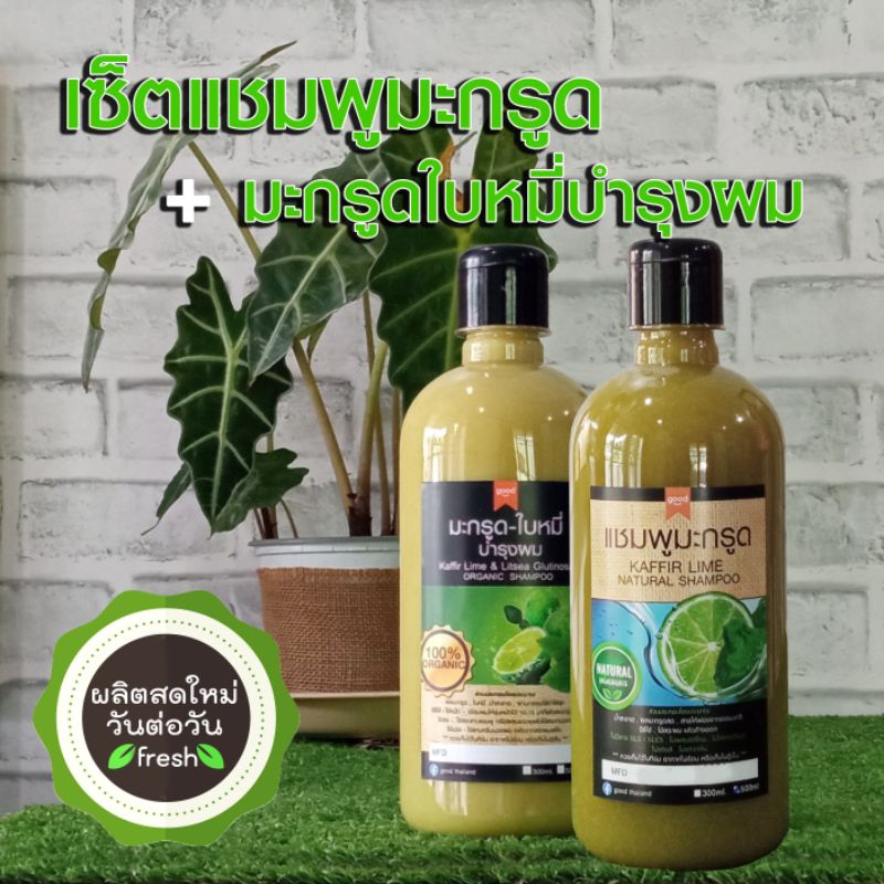 500ml เซ็ทแชมพูมะกรูด สูตรฟองจากธรรมชาติ + มะกรูดใบหมี่ บำรุงผม