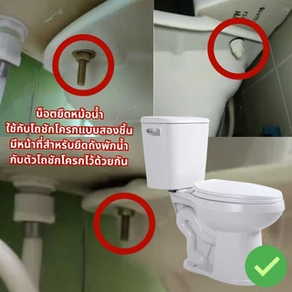 น็อตยึดหม้อน้ำชักโครก ถังน้ำชักโครก แบบสแตนเลสแท้ ไม่เป็นสนิม น็อตยึดถังพักน้ำ น็อตยึดหม้อย้ำชักโครกPVC