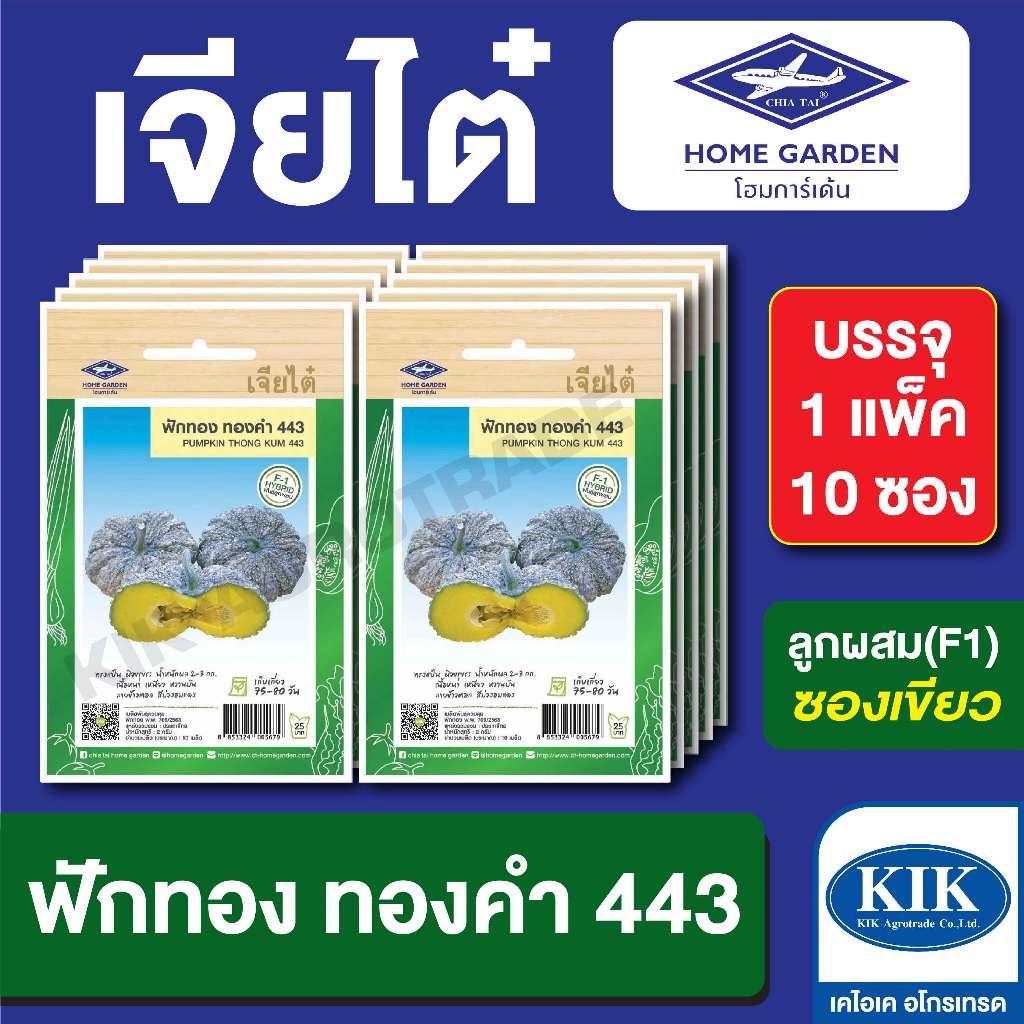 เมล็ดพันธุ์ ผักซอง เจียไต๋ CT25 ฟักทอง ทองคำ443 บรรจุแพ็คละ 10 ซอง