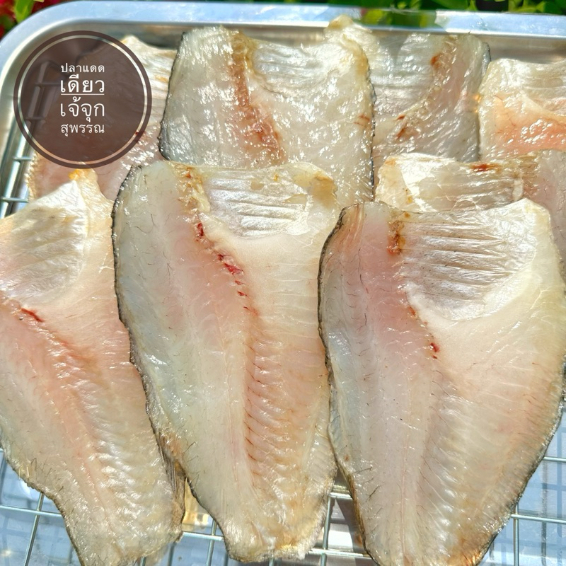 ปลาสลิด แล่ก้าง 8-10 ชิ้น 500 กรัม ชิ้นใหญ่ๆ แดดเดียวจ้า