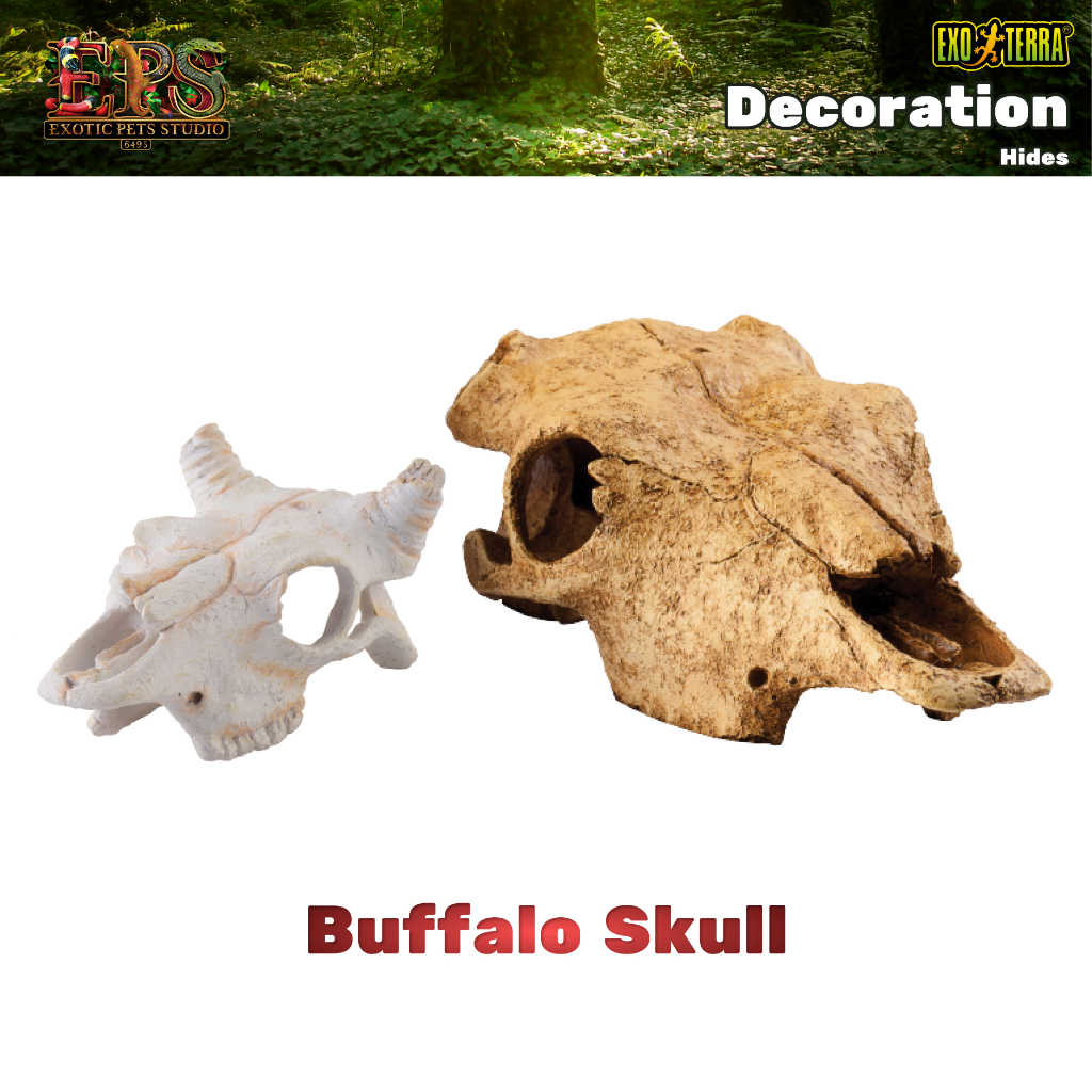 Exo Terra Buffalo Skulls ที่ซ่อนตัวรูปแบบกระโหลกควาย (S / M)