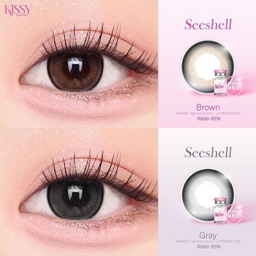 🔥คอนแทคเลนส์✨ขนาดบิ๊กอายโตมาก✨Seeshell (Kissylens) ✨ Brown / Gray / Black