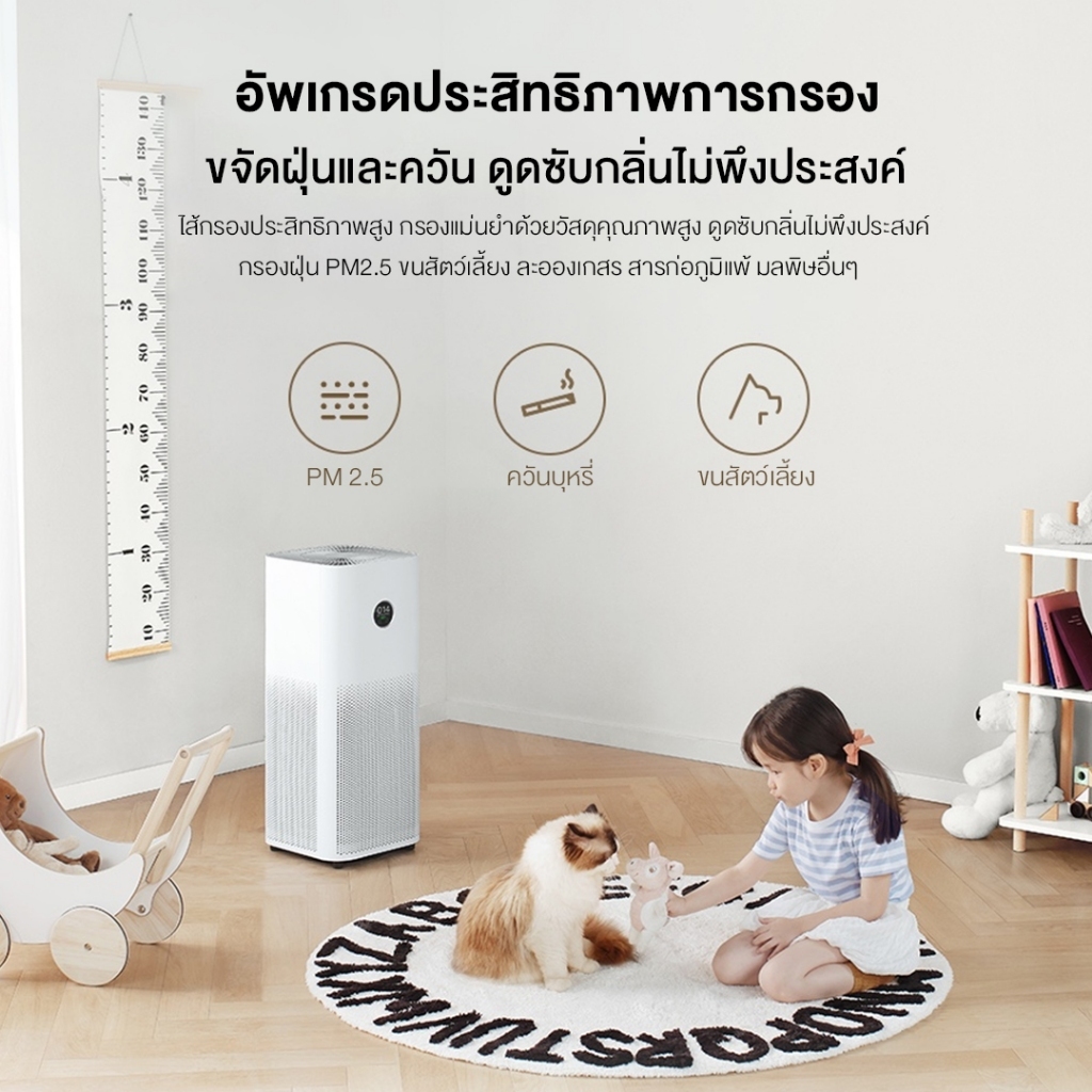 รูปภาพ 8