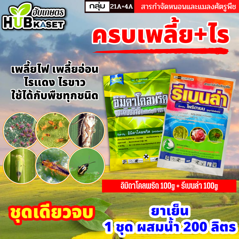ชุดกำจัดเพลี้ย+ไร อิมิดาโคพริด MAX + รีเบนล่า 100กรัม+100กรัม (อิมิดาคลอพริด+ไพริดาเบน) กำจัดเพลี้ยและไรทุกชนิด