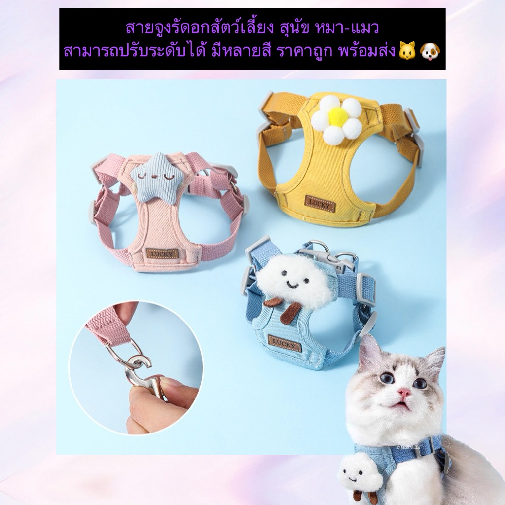 AL-1120 ที่รัดอกพร้อมสายจูง สามารถปรับระดับได้ หมาเเมว พร้อมส่ง
