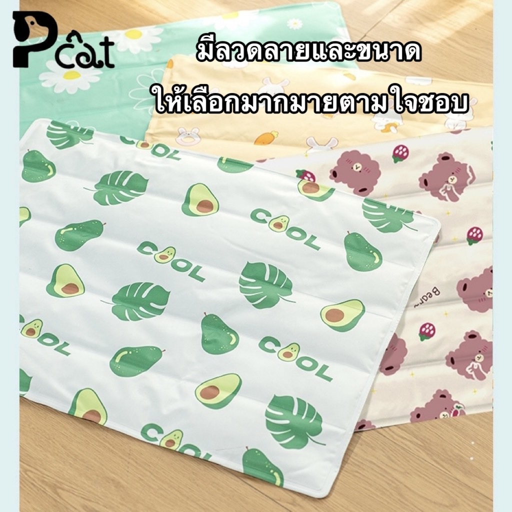 PP A13 สัตว์เลี้ยง ที่นอนเจลเย็น แผ่นเจลเย็น เบาะนอนเย็น ที่นอนเย็น สำหรับสัตว์เลี้ยง ที่นอนสัตว์เลี้ยง แผ่นเจลเย็นแมวสุ