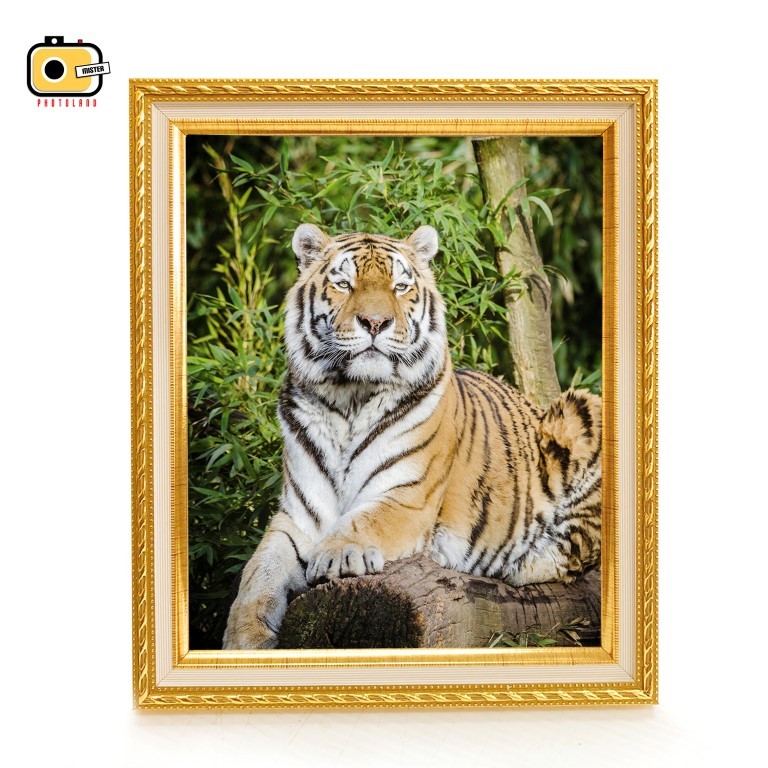 แถมรูป!! กรอบสีทอง 8x10 นิ้ว ของขวัญ วันเกิด ตกแต่งบ้าน วางแนวตั้ง นอน ได้