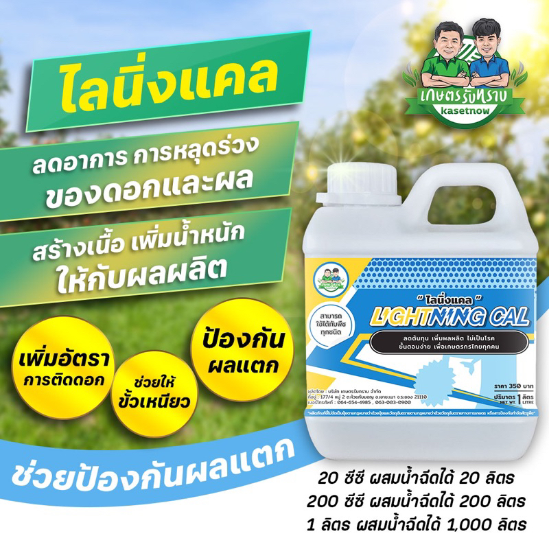 แคลเซียมโบรอน (ไลนิ่งแคล) สูตรคุณโรจน์ เกษตรรับทราบ