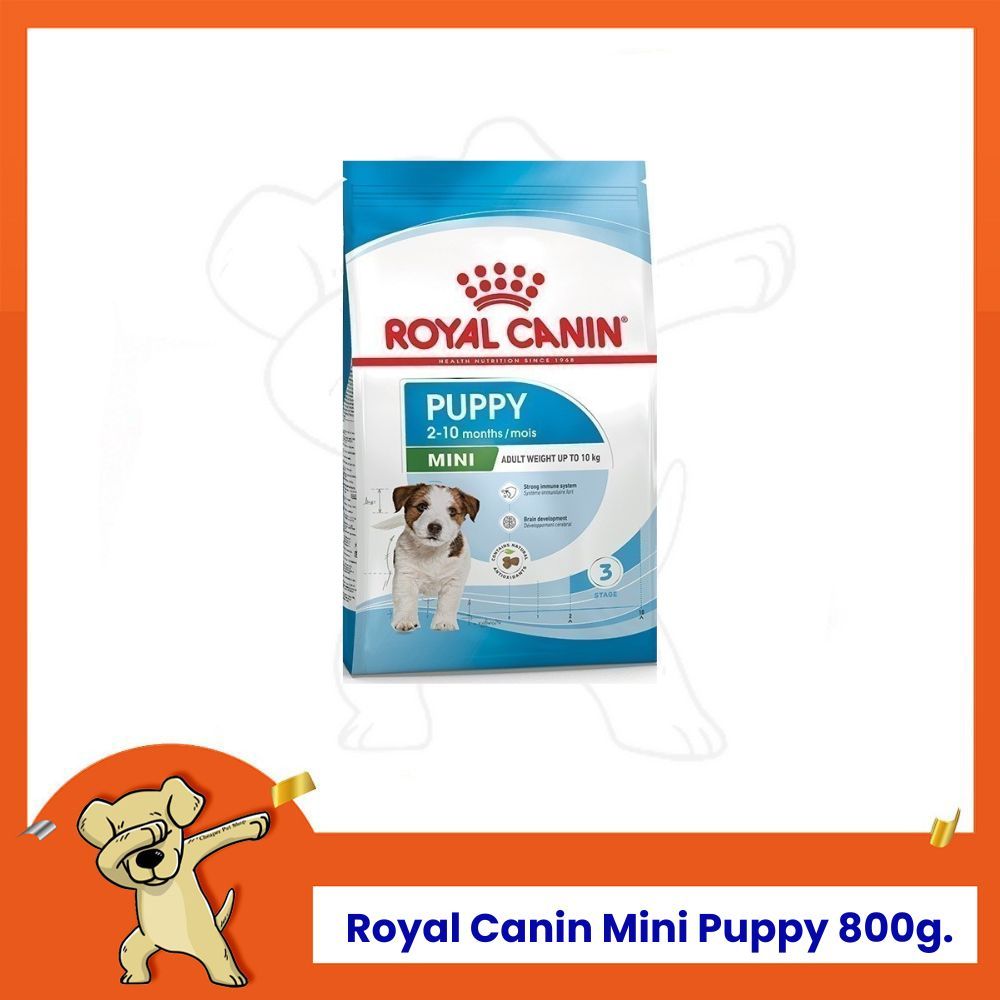 [Cheaper] Royal Canin Mini Puppy 800g อาหารสุนัข โรยัลคานิน สูตรลูกสุนัขพันธุ์เล็ก ขนาด 800 กรัม