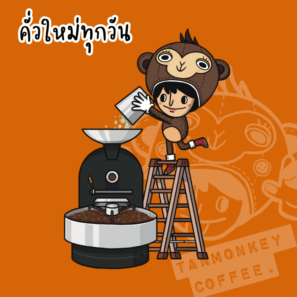 Tanmonkey Coffee เมล็ดกาแฟคั่ว ราคาส่ง 2kg / 5 kg เมล็ดกาแฟคั่ว Fruity Dreamer (Costa Rica✖️  Ethiopia ✖️ Thai)