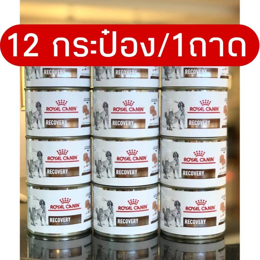[12กระป๋อง] Royal Canin Recovery 12 กระป๋อง/1ถาด อาหารสำหรับสุนัขและแมวป่วย พักฟื้น แบบเปียก
