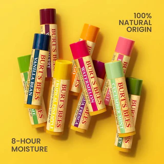 Burt's Bees WATERMELON LIP BALM 4.25 g