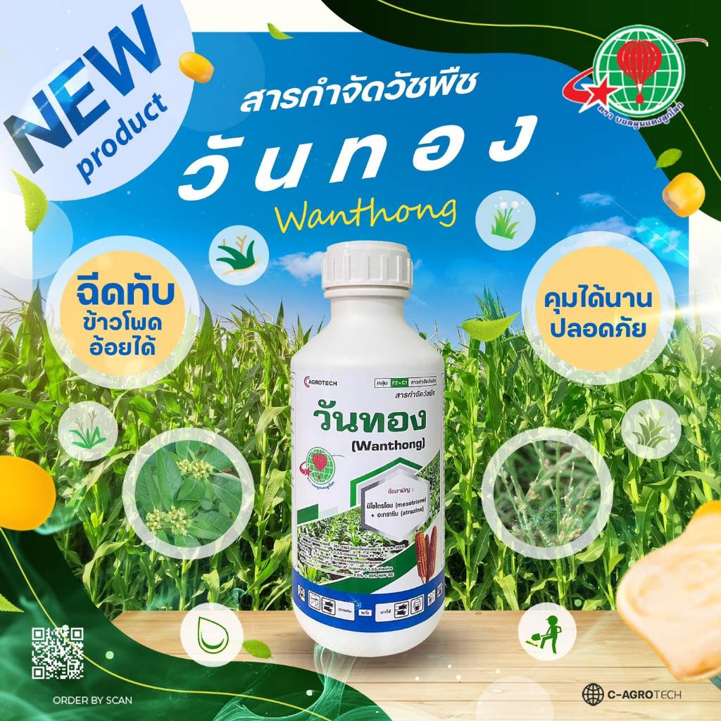 วันทอง โซไตรโอน + อะทราซีน ยาคุม+ฆ่าหญ้าในไร่ข้าวโพดและอ้อย กำจัดวัชพืชใบแคบ และใบกว้างได้อย่างดีเยี่ยม ขนาด 1 ลิตร