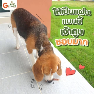 Get Well หมูสไลด์อบกรอบ หมาแมว แพ้ไก่ แพ้แป้ง กินได้