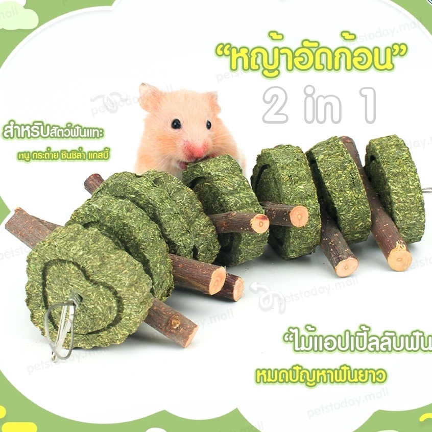 โมบายลับฟัน หญ้าอัดเม็ด ไม้แอปเปิ้ล หญ้าอัดก้อน พร้อมส่งในไทย