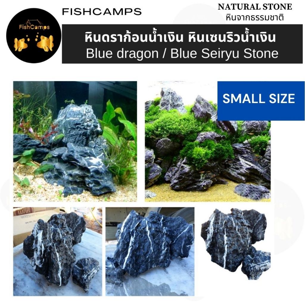 หินก้อนเล็ก (ชุดที่ 2) หินดราก้อนน้ำเงิน หินเซนริวน้ำเงิน Blue dragon / Blue Seiryu Stone ตกแต่งตู้ปลา ตู้ไม้น้ำ แต่งสวน