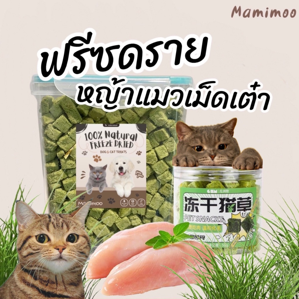 Mamimooฟรีซดรายหญ้าแมวเกรดพรีเมี่ยม ต้นอ่อนข้าวสาลีขับก้อนขน สำหรับสุนัขและแมวทุกสายพันธุ์