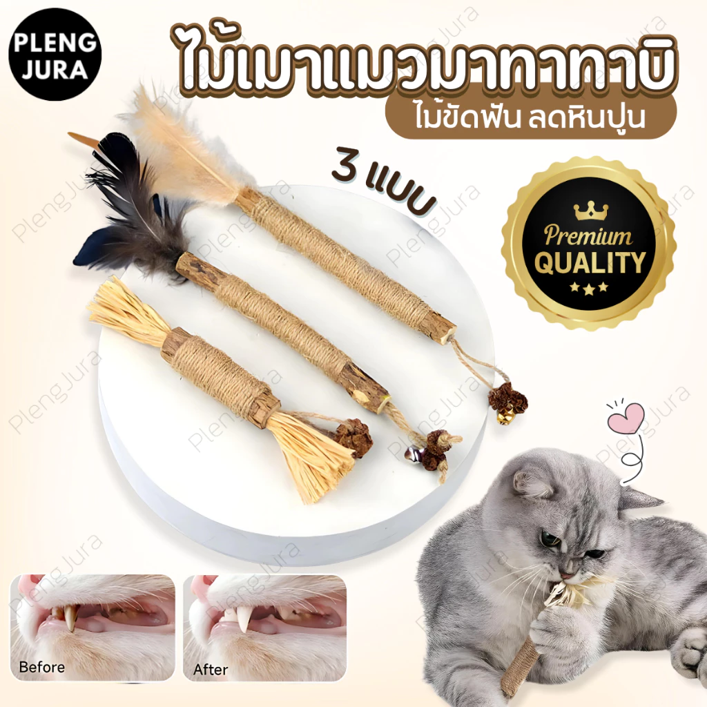 มี 3 แบบ ไม้แมวเมามาทาทาบิ matatabi stick แคทนิปญี่ปุ่น ขัดฟันแมว กัญชาแมวมาทาบิ ของเล่นสำหรับแมว ไม้ขัดฟันก้านมาทาทาบิ