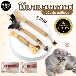 มี 3 แบบ ไม้แมวเมามาทาทาบิ matatabi stick แคทนิปญี่ปุ่น ขัดฟันแมว กัญชาแมวมาทาบิ ของเล่นสำหรับแมว ไม้ขัดฟันก้านมาทาทาบิ