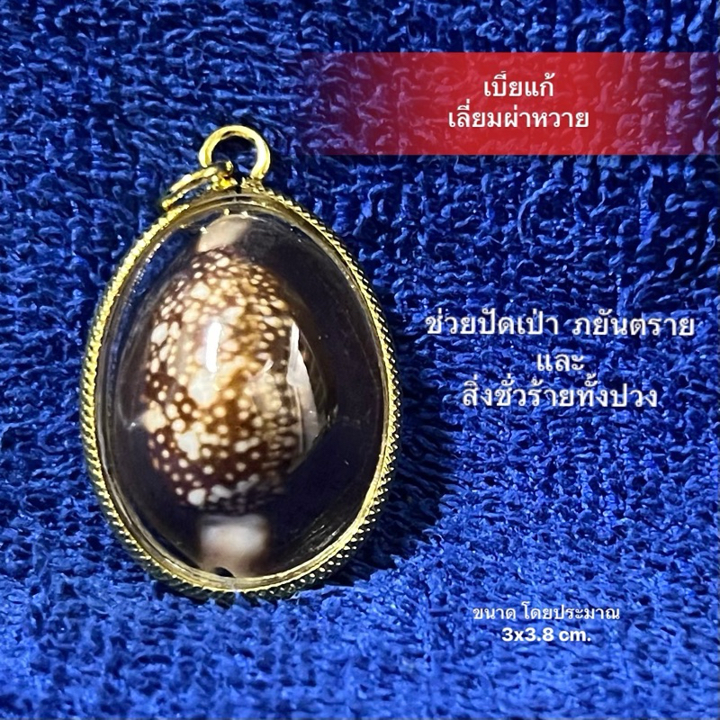เบี้ยแก้ธรรมชาติ เลี่ยมผ่าหวาย ทั้งกันและแก้สิ่งไม่ดีทั้งปวง