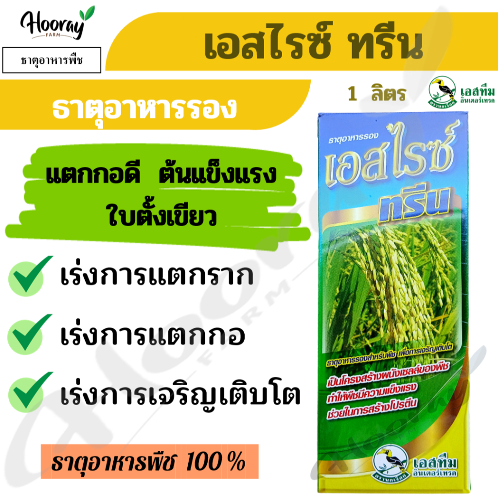 เอสไรซ์ ทรีน 1 ลิตร. เร่งการแตกกอ แตกราก เร่งการเจริญเติบโต ฮอร์โมนพืช เร่งต้น เร่งใบ ขยายใบ เอสทีม