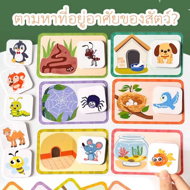 พร้อมส่ง🇹🇭 เกมส์จับคู่ ที่อยู่อาศัยของสัตว์🐝