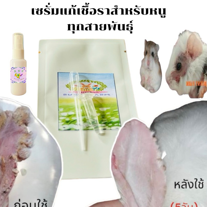 เซรั่มบำรุงขน สวย พร้อมส่ง