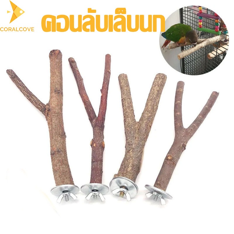 coralcoveshop ที่ยืนนก คอนยืนนกแก้ว รูป Y ฟอพัส หงส์หยก คอนัวร์ เลิฟเบิร์ด คอนไม้นก ของเล่นนก