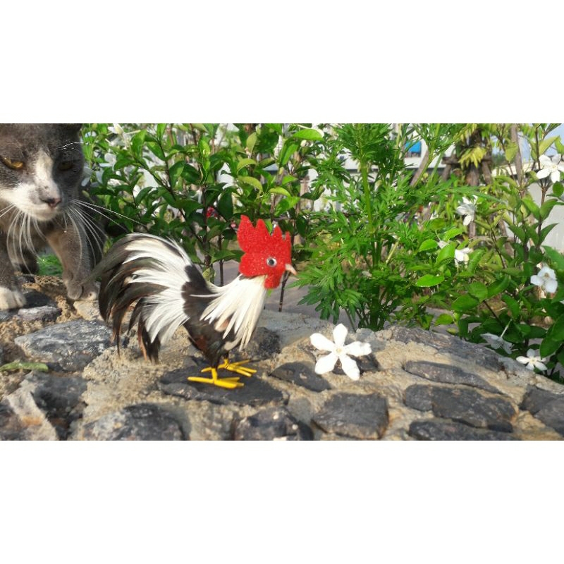 ตุ๊กตาไก่ชน ขนจริงสร้อยสีขาว ขนาด 3 นิ้ว กว้าง 1 นิ้ว#ไก่ไอ้ไข่#ไก่จิกทรัพย์