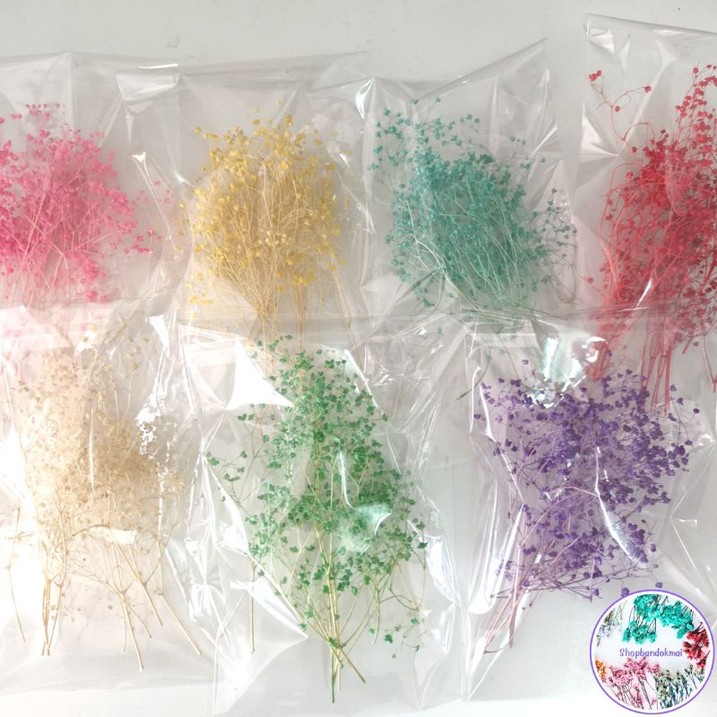 ซองละ20บาทเท่านั้นดอกยิปโซฟิลล่ามีหลายสีให้เลือก