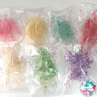 ซองละ20บาทเท่านั้นดอกยิปโซฟิลล่ามีหลายสีให้เลือก