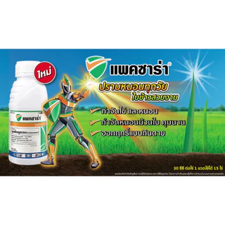 แพคซาร่า 500 cc.(ของแท้)( ลูเฟนนูรอน ) กำจัดหนอน คุมไข่ หนอนดื้อยา ยั้บยั้งการลอกคราบ หนอนม้วนใบ