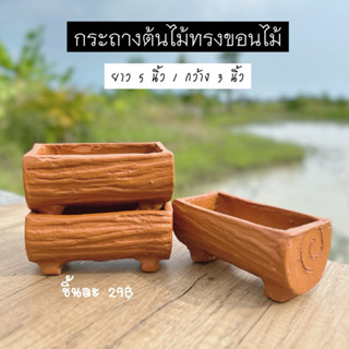 กระถางต้นไม้ดินเผา ทรงขอนไม้ กระถางแคคตัส